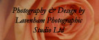 Photography and Website Design by Lavenham Photographic Studio Ltd